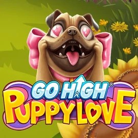 Go High Puppy Love slot visual from RubyPlay available on foxysgold.nl